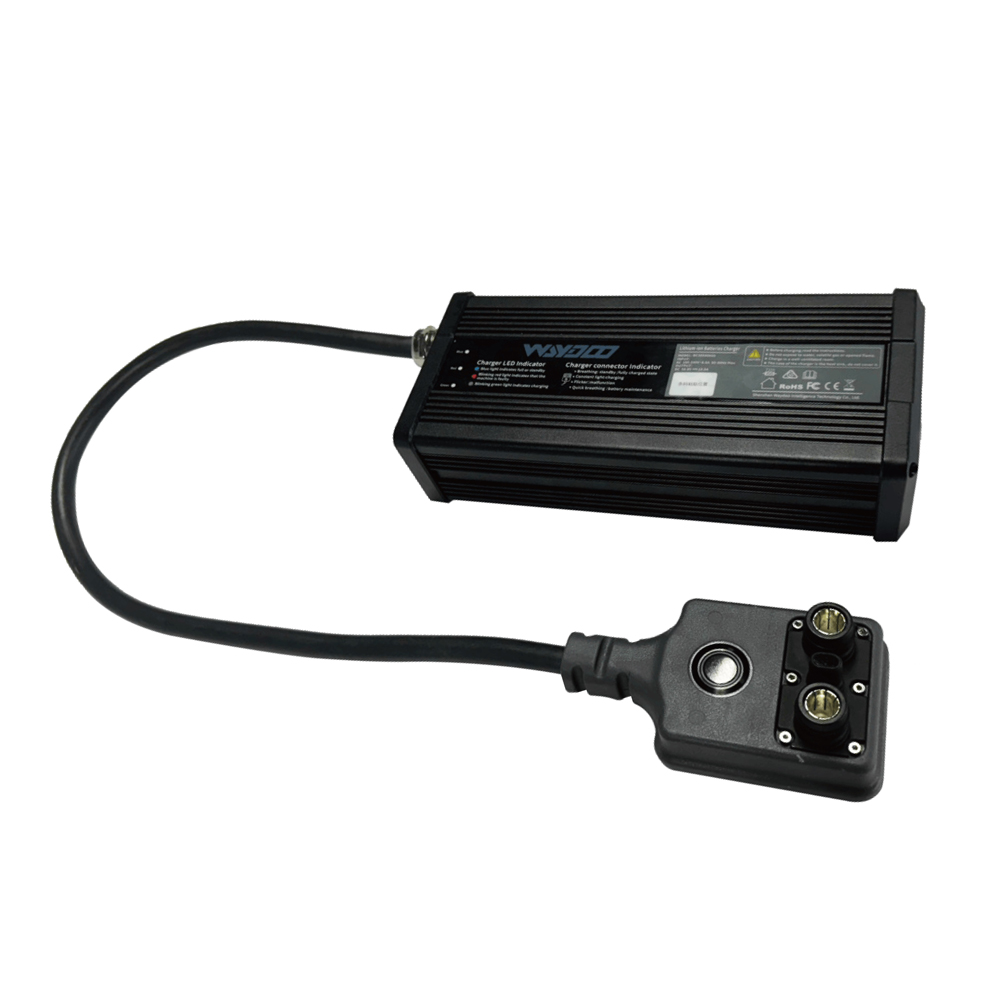Powerflight caricabatteria standard
